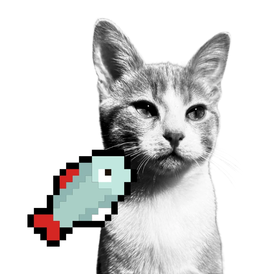 Pocho, Supervisor de Teclado